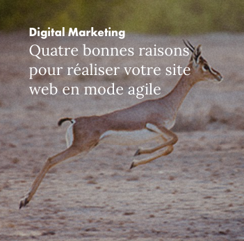 Quatre bonnes raisons pour développer votre site web en mode agile
