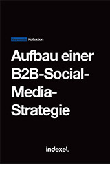 Die perfekte Social Media Strategie für B2B finden