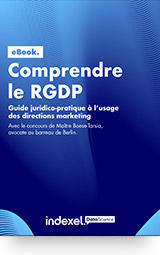 Comprendre le RGDP IDS - Ebook